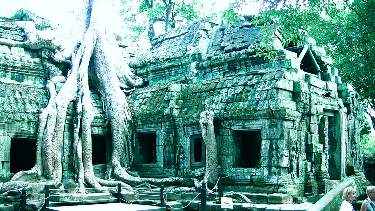 Tree roots embracing the stones of Angkor