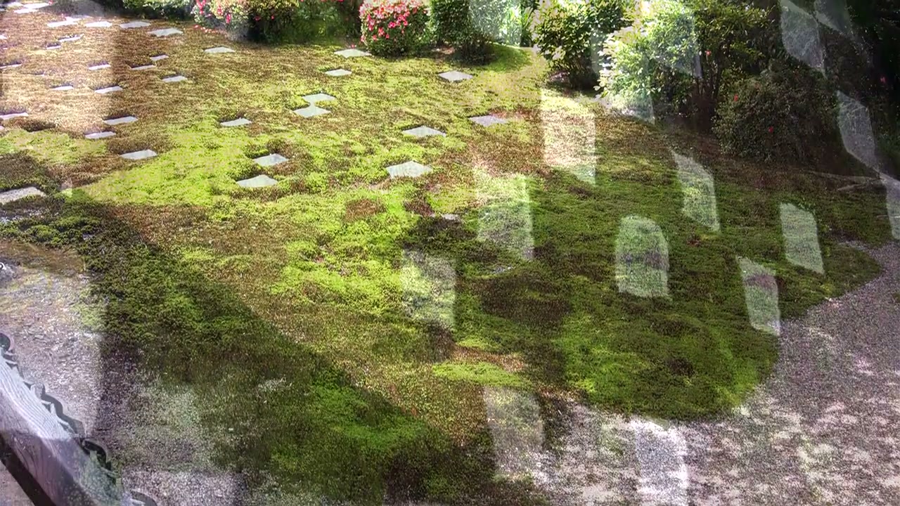 Stone lanterns in a moss garden, Kyoto